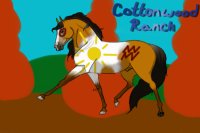 CWRH: Native American Horse