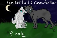 Feathertail X Crowfeather If only
