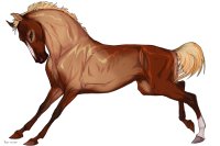 Cervinne Horses|#5