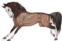 Cervinne Horses|#11