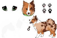Doge for Ghostie Doge for Ghostie