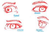 More Eye Expressions More Eye Expressions