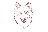 Wolf face sketch