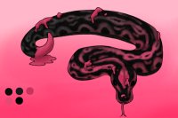Valentine Paint-Tailed Python - #003