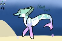 Atlanic Sea Fox #2