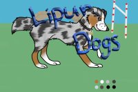 Lipur Agility Dogs