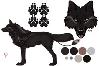 Fehin ~ 3 eared hound