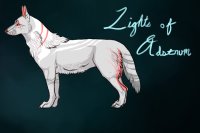 Lights of Adstrum Canine Adopt; Gray w/ White & Pink