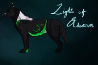 Lights of Adstrum Canine Adopts ; Dark Gray with Green
