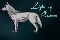 Lights of Adstrum Canine Adopts : Light Gray W/ Purple