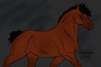 Drake. color in horse