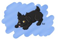 Pup for -Wolfy-