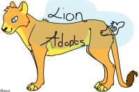 Lion adopts <3