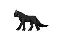 Black/Grey horse