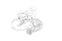 to the person that means the world to me to the person that means the world to me