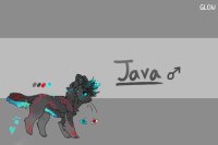 Java (script)