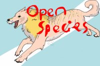 Lion Imp Dogs- an open species