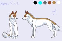 Finch Reference Sheet