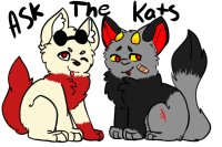 Ask The Kats