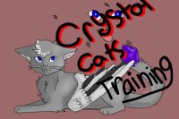 Crystal Cats  Training