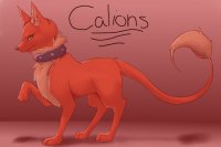 CALIONS~ new species