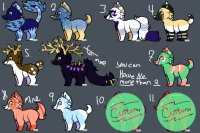 Dog Adopts For Sale!