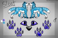 Sleet's Reference