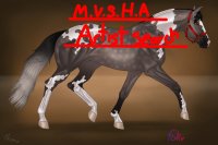 Mograni Valley Stock Horse Association Artist Search