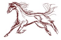 Equine Lines Sketch