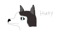 Realistic Husky