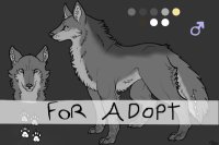 For Adopt <3