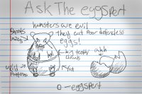 Eggspert 6
