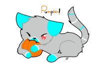 Pumpkin!