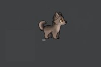 My little Warewolf