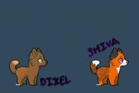 Dixel and Shiva