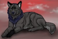 Koda | My Wolf OC