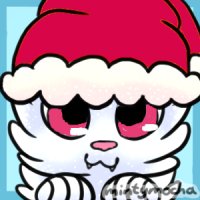 edited avatar Santa hat cat