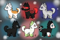 ☂ Puppies by Rain - Up for adoption! ☂