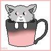 Teacup kitty c: