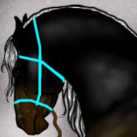 Horse Avatar Colourin
