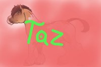 Taz's Entries
