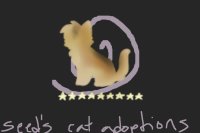 Seed's Cat Adoptions & Customs!