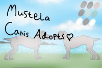 Mustela Canis Adopts