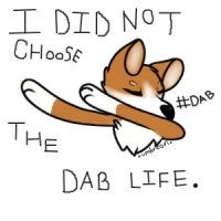 I DID NOT CHOOSE THE DAB LIFE ^.^
