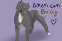American Bully editable