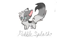 Terrible Art Sotre- Pebblesplash