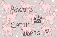 Angel's Canid Adopts and Breedings }{ Open
