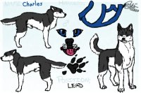 Lead|Charles