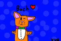 Bach the Rabbit <3 Bach the Rabbit <3