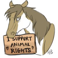 Supporting Animal Rights
